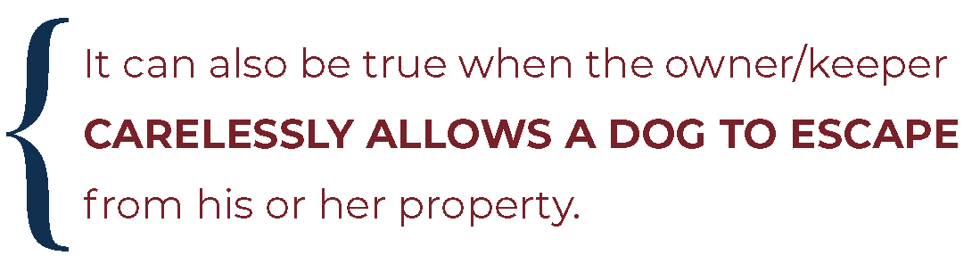 quote about careless owners 