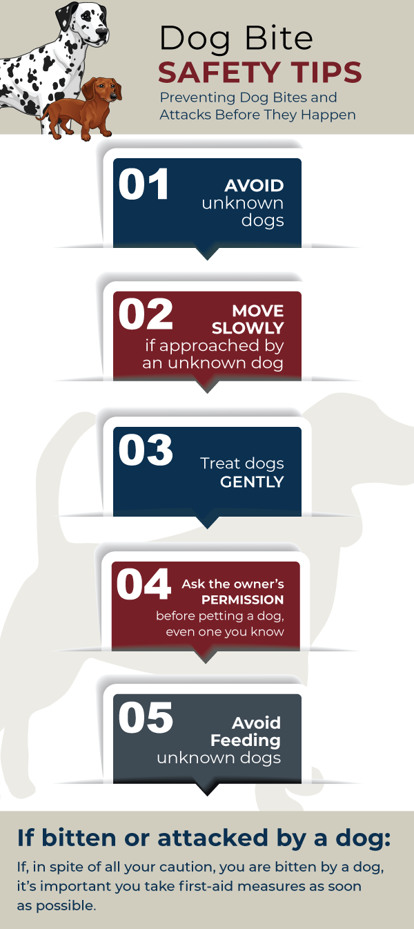 Safety Tips To Prevent Dog Bites 
