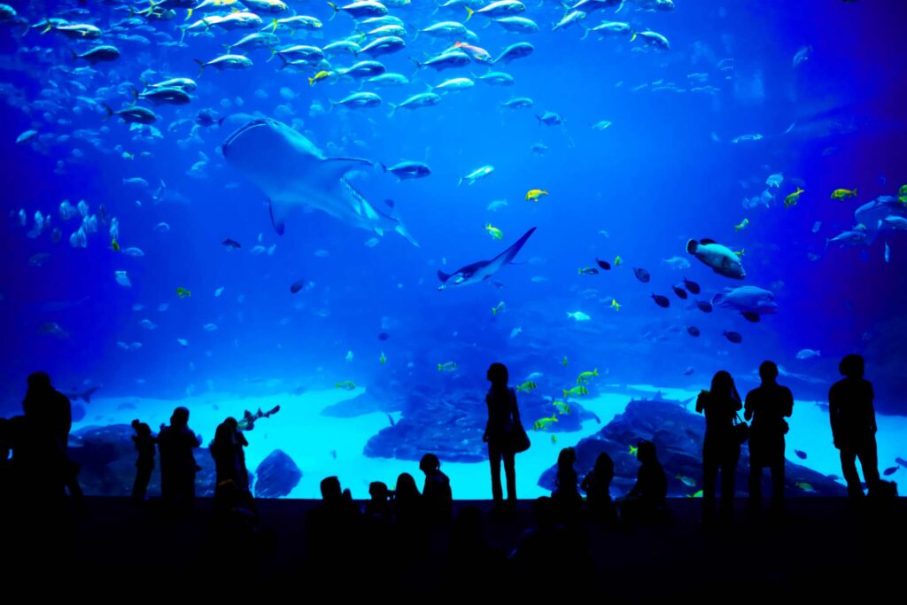 aquarium in ATL